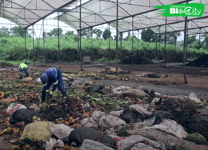 ¡Separa y Transforma! Aprovecha tus Desechos Orgánicos para Crear Compost
